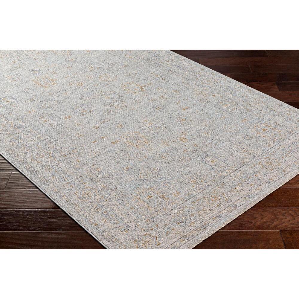 Surya Avant Garde AVT-2343 Machine Woven Rug Clearance
