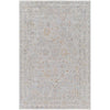 Surya Avant Garde AVT-2343 Machine Woven Rug Clearance
