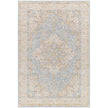Surya Avant Garde AVT-2365 Machine Woven Rug