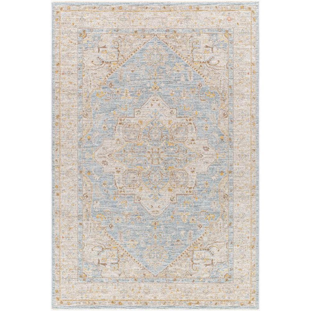Surya Avant Garde AVT-2365 Machine Woven Rug