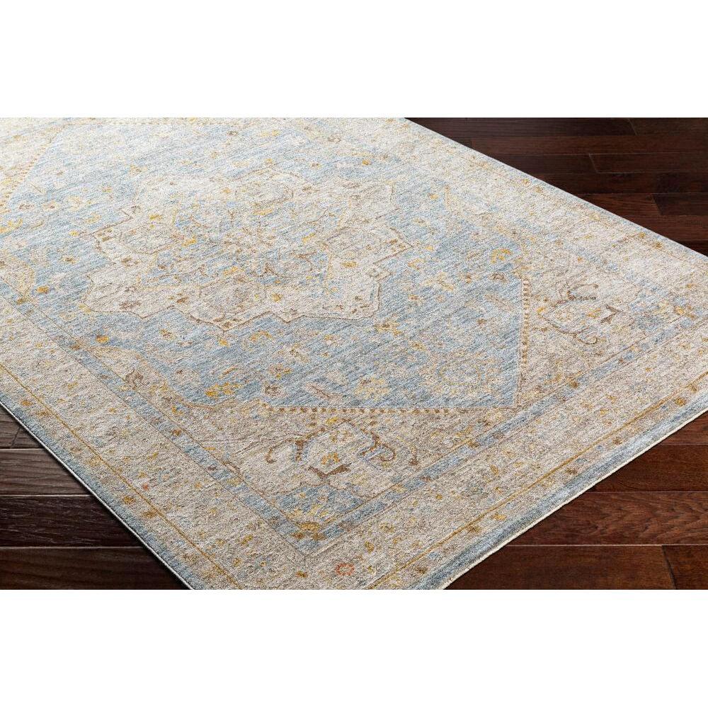 Surya Avant Garde AVT-2365 Machine Woven Rug