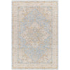 Surya Avant Garde AVT-2365 Machine Woven Rug