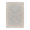 Surya Avant Garde AVT-2369 Machine Woven Rug