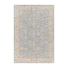 Surya Avant Garde AVT-2369 Machine Woven Rug