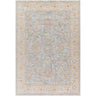 Surya Avant Garde AVT-2371 Machine Woven Rug
