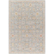 Surya Avant Garde AVT-2375 Machine Woven Rug