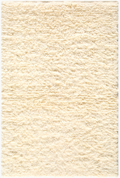 Surya Ayan AYM-2301 Handmade Rug