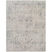 Livabliss by Surya Azhar AZR-2302 Machine Woven Rug