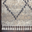 Nourison Oslo Shag OSL01 Shag Indoor Rug