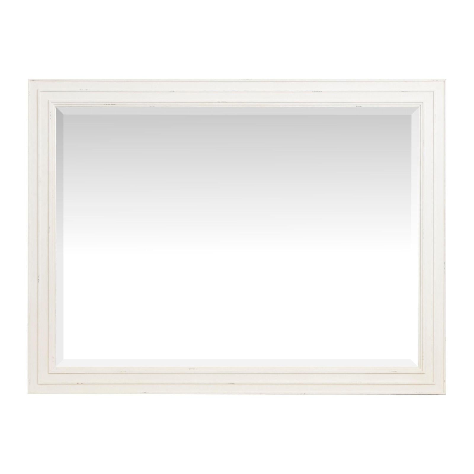 Salt Life Home Echo Isles Sea Pearl and Driftwood Double Drawer Dresser with Landscape Mirror