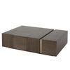 Century Furniture Carino Cocktail Table