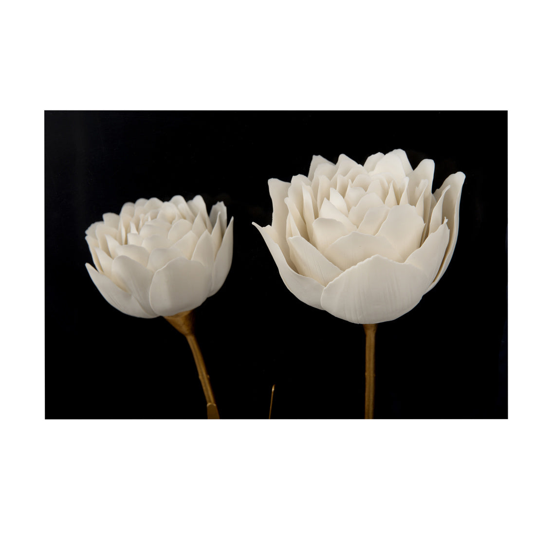 Chelsea House Porcelain Flower Black Artwork