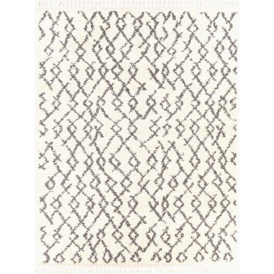 Livabliss by Surya Berber Shag BBE-2301 Machine Woven Rug