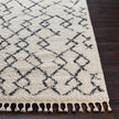 Livabliss by Surya Berber Shag BBE-2301 Machine Woven Rug