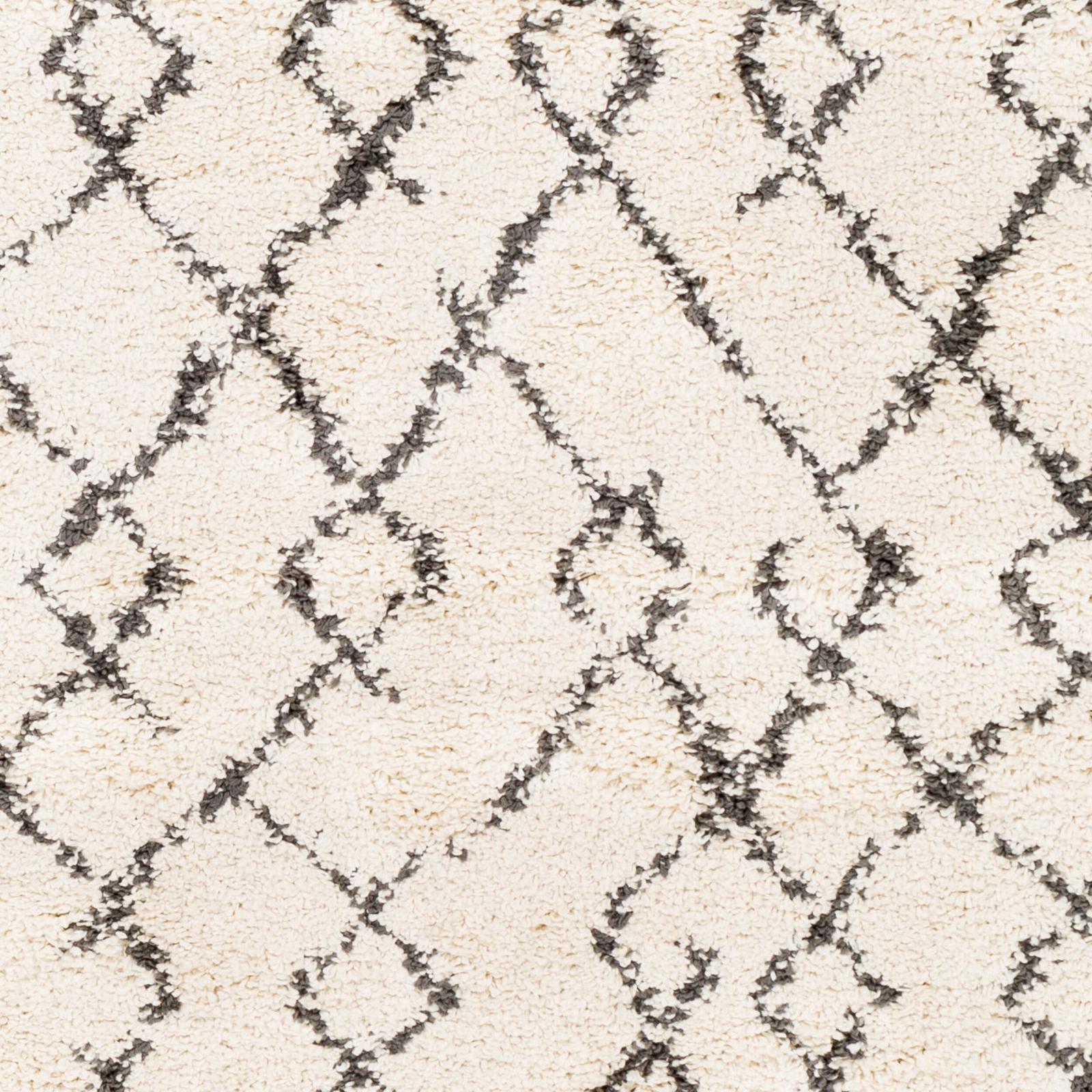Livabliss by Surya Berber Shag BBE-2301 Machine Woven Rug