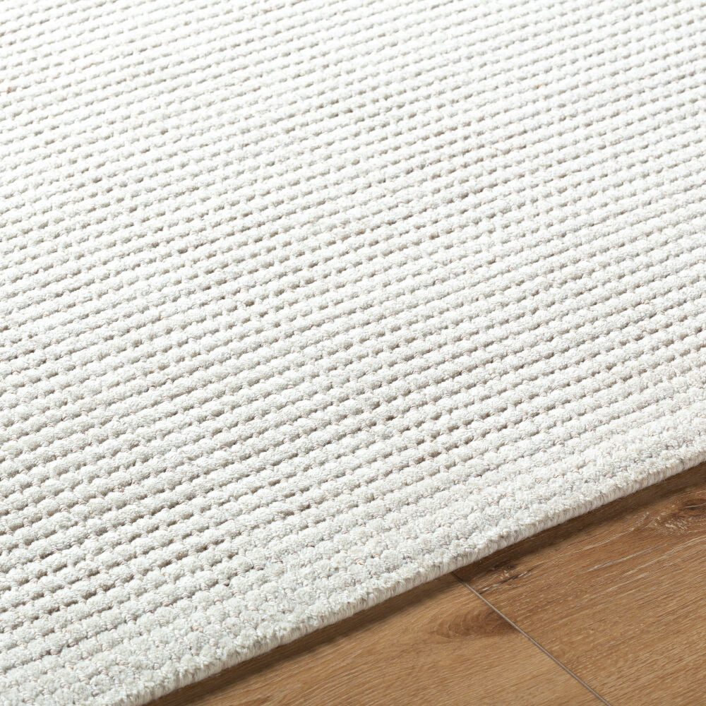 Surya Boston BBT-2300 Handmade Rug
