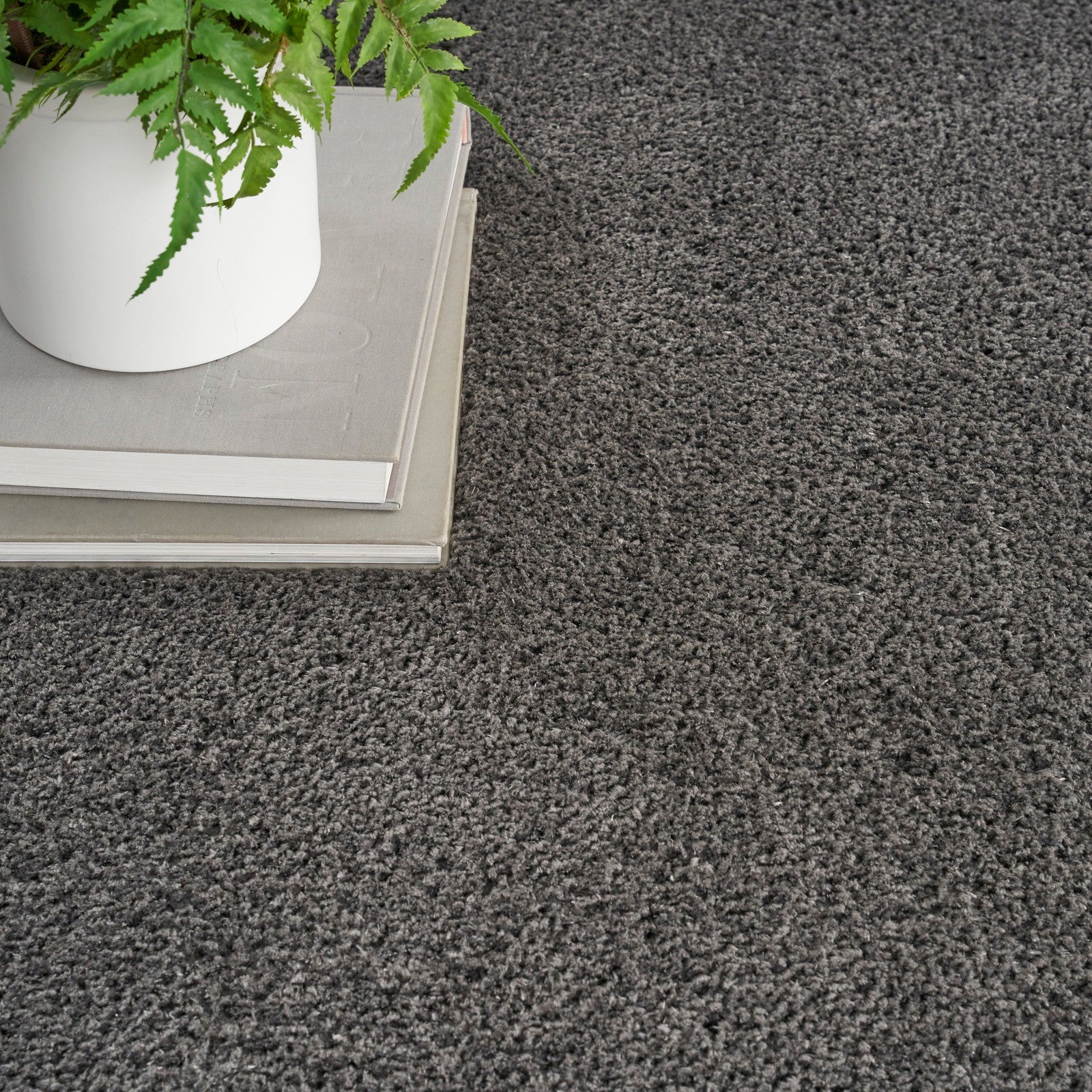 Nourison Dreamy Shag DRS05 Shag Indoor Rug
