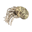 Chelsea House Hermit Crab Paperweight