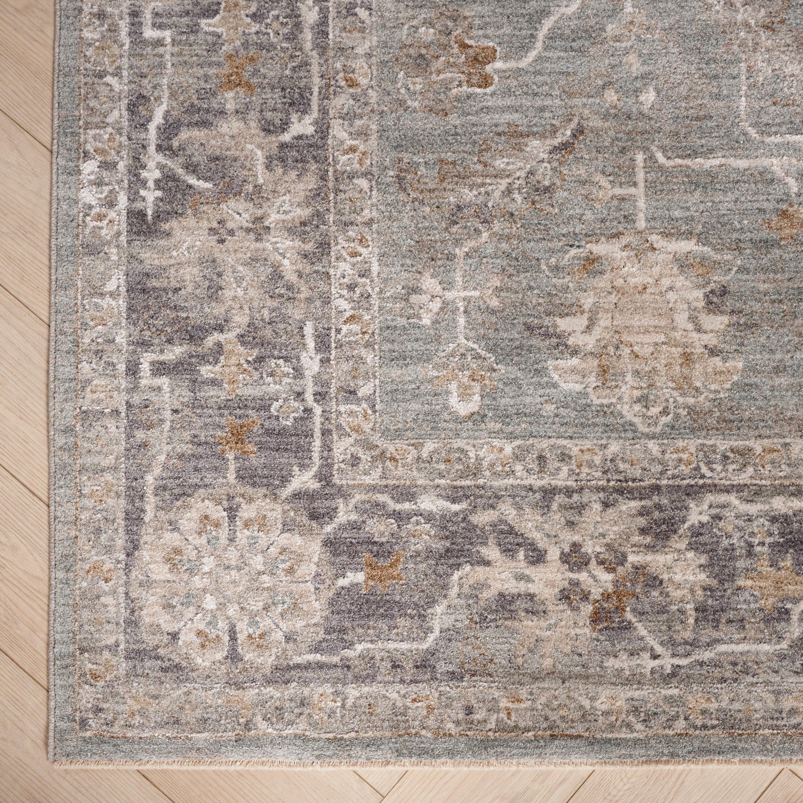 Nourison Infinite IFT01 Vintage Indoor Rug