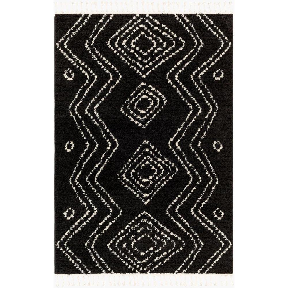 Livabliss by Surya Casablanca Shag CAG-2313 Machine Woven Rug
