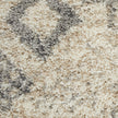 Nourison Oslo Shag OSL02 Shag Indoor Rug
