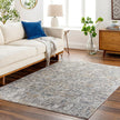 Livabliss by Surya Cardiff CDF-2310 Machine Woven Rug