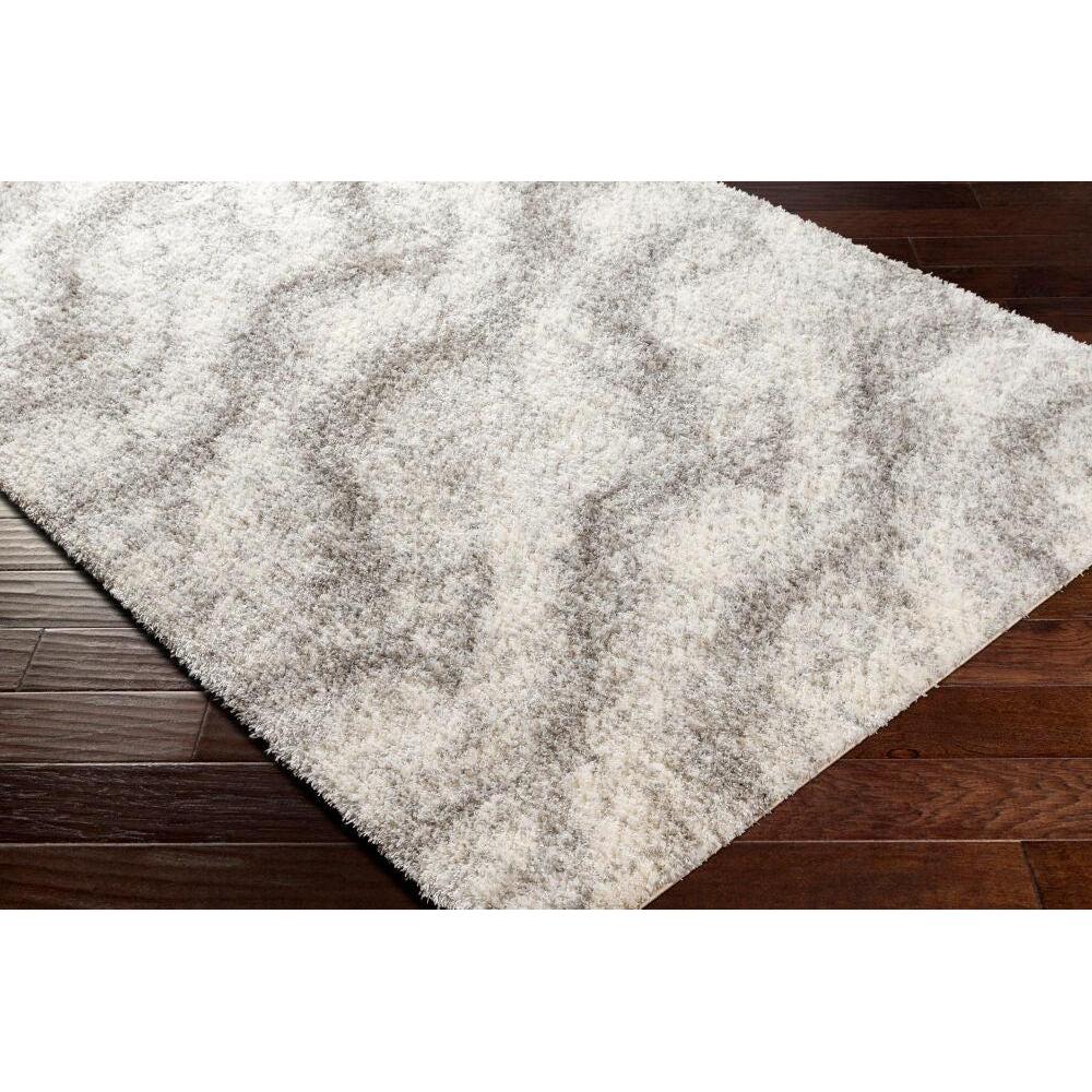 Livabliss by Surya Cloudy Shag CDG-2306 Machine Woven Rug