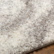 Livabliss by Surya Cloudy Shag CDG-2306 Machine Woven Rug