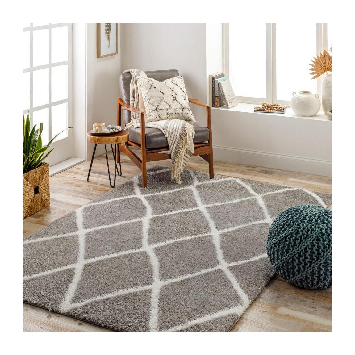 Livabliss by Surya Cloudy Shag CDG-2313 Machine Woven Rug