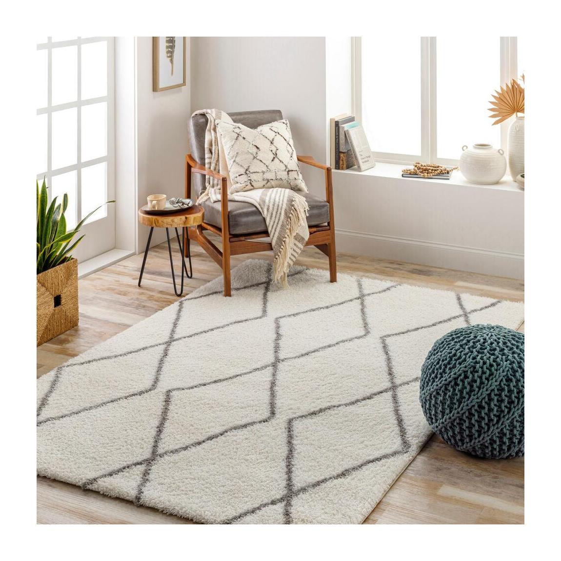 Livabliss by Surya Cloudy Shag CDG-2313 Machine Woven Rug