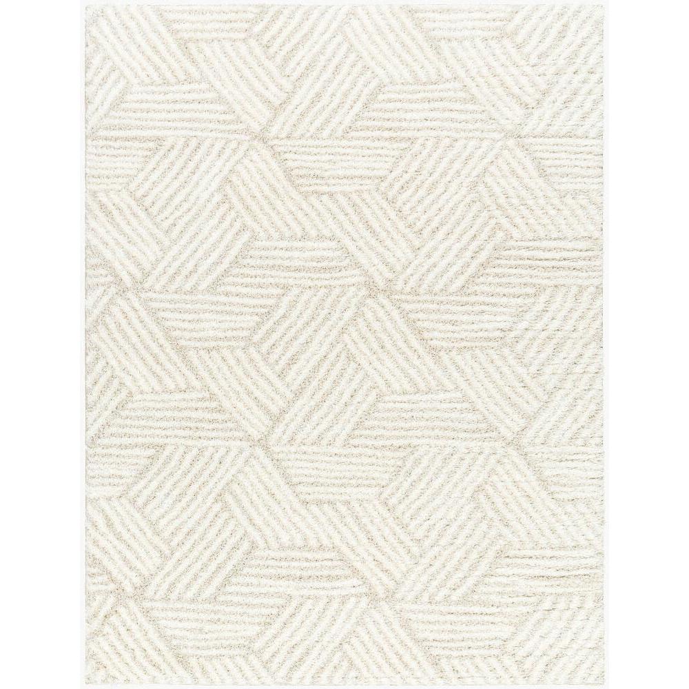 Livabliss by Surya Cloudy Shag CDG-2319 Machine Woven Rug