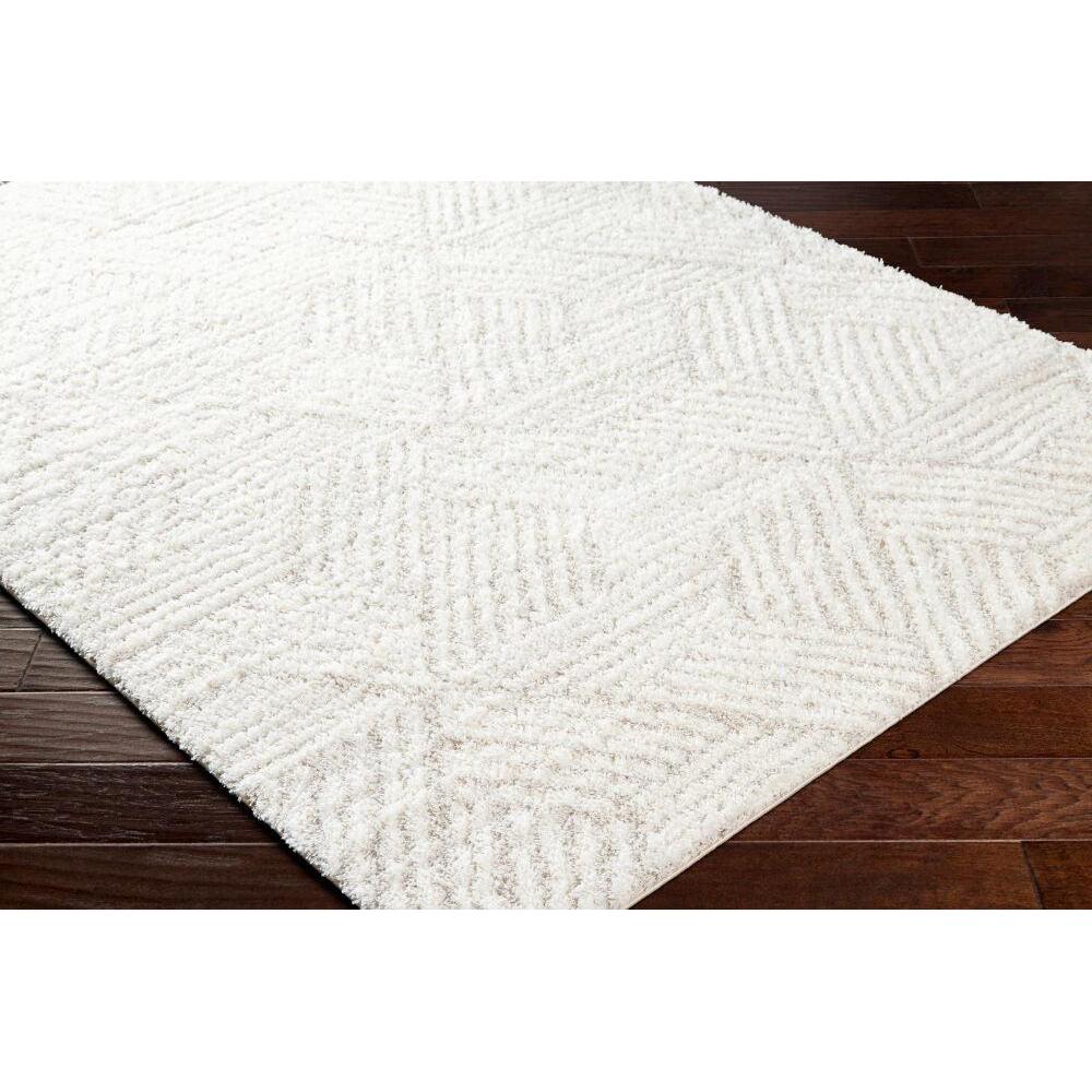 Livabliss by Surya Cloudy Shag CDG-2319 Machine Woven Rug