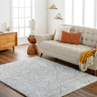 Livabliss by Surya Cloudy Shag CDG-2319 Machine Woven Rug