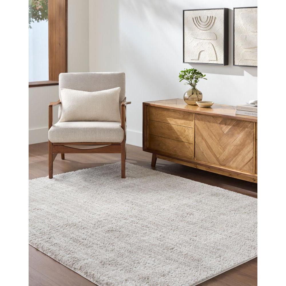 Livabliss by Surya Cloudy Shag CDG-2331 Machine Woven Rug