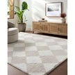 Livabliss by Surya Cloudy Shag CDG-2338 Machine Woven Rug