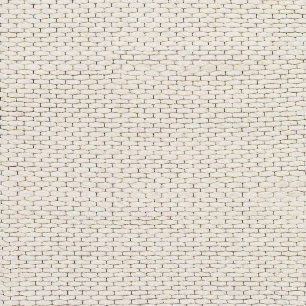 Surya Colarado CDO-2307 Handmade Rug