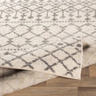 Livabliss by Surya Chester CHE-2319 Machine Woven Rug