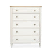 Salt Life Home Echo Isles Sea Pearl and Driftwood Drawer Chest