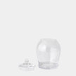 Global Views Lionel Glass Lidded Canister