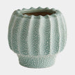 Global Views Echinus Vase