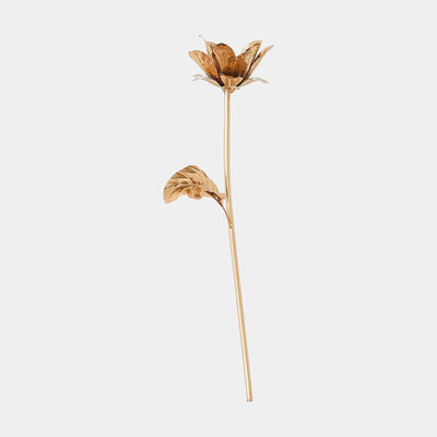 Global Views Floral Wall Art