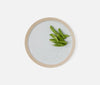 Rivka White Salt Glaze Dinner Plate - Set of 4