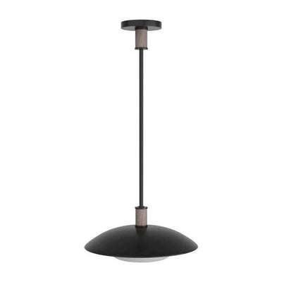 Arteriors Tobias Pendant