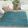 Nourison Dreamy Shag DRS05 Shag Indoor Rug