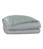 Eastern Accents Danae Metallic Polka Dots Tacked Comforter