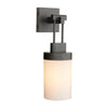 Arteriors Everest Outdoor Sconce