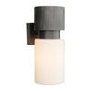 Arteriors Crawford Outdoor Sconce