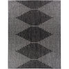 Surya Eagean EAG-2348 Machine Woven Rug