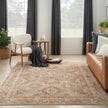 Nourison Sahar SHR01 Vintage Indoor Rug