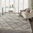 Nourison Oslo Shag OSL01 Shag Indoor Rug